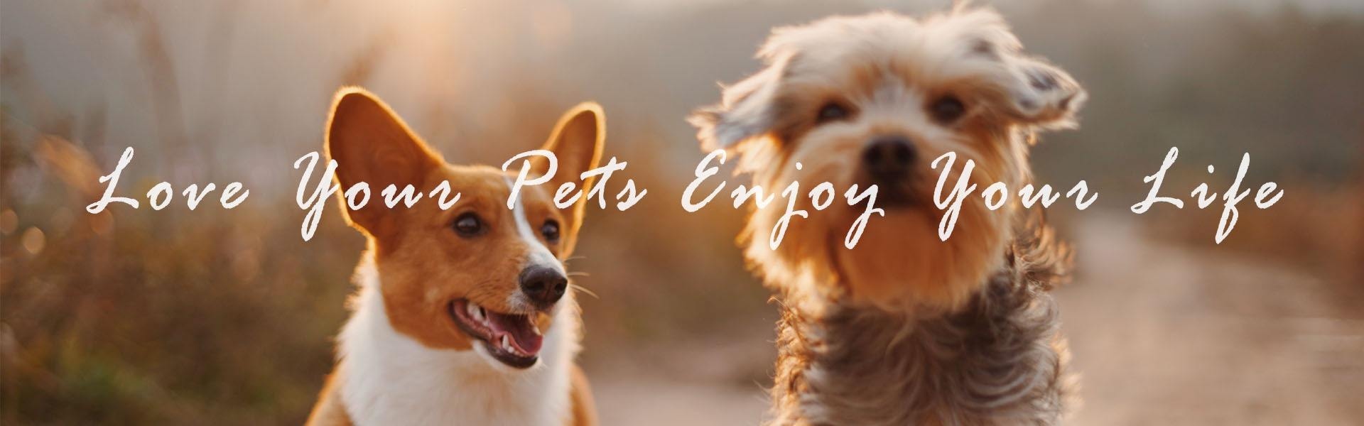 애완 동물 제품, 애완 동물 액세서리, 애완 동물 용품,Furjoyz Pet Products Co., Ltd