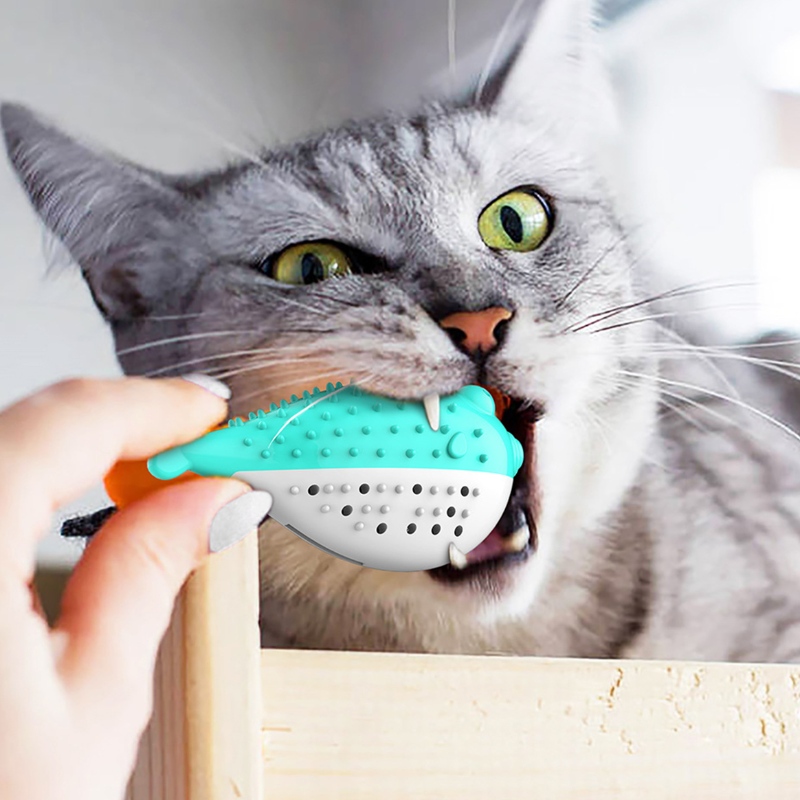 Furjoyz 도매 재미있는 애완 동물 장난감 칫솔 대화 형 장난감 휴대용 고양이 지능형 치아 고무 catnip 고양이 장난감