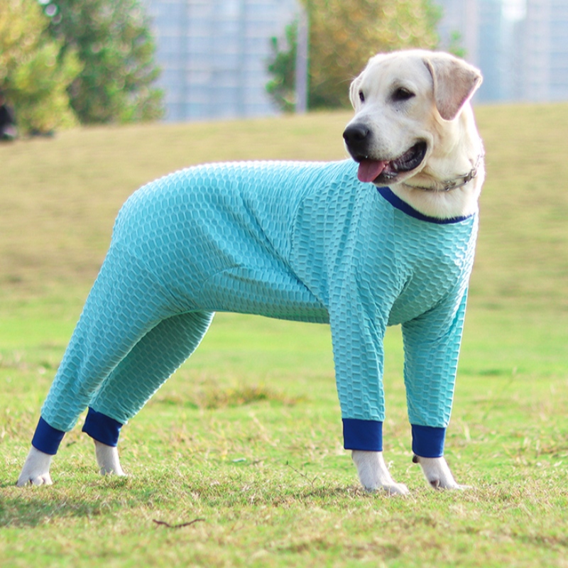 새로운 디자인 사용자 정의 겨울 애완 동물 개 옷 새로운 애완 동물 옷 탄성 스웨터 뜨거운 판매 애완 동물 스웨터