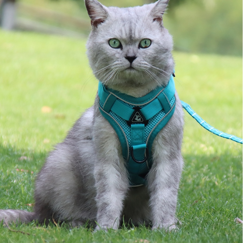 패션 애완 동물 조끼 유형 견인 가슴 스트랩 고양이 개 조절 가능한 철회 가능한 견인 로프 산책 개 밧줄 칼라